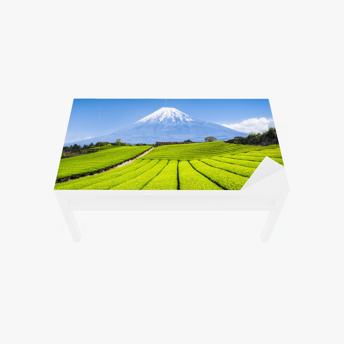 Table & desk veneer lush tea fields beneath Mount Fuji