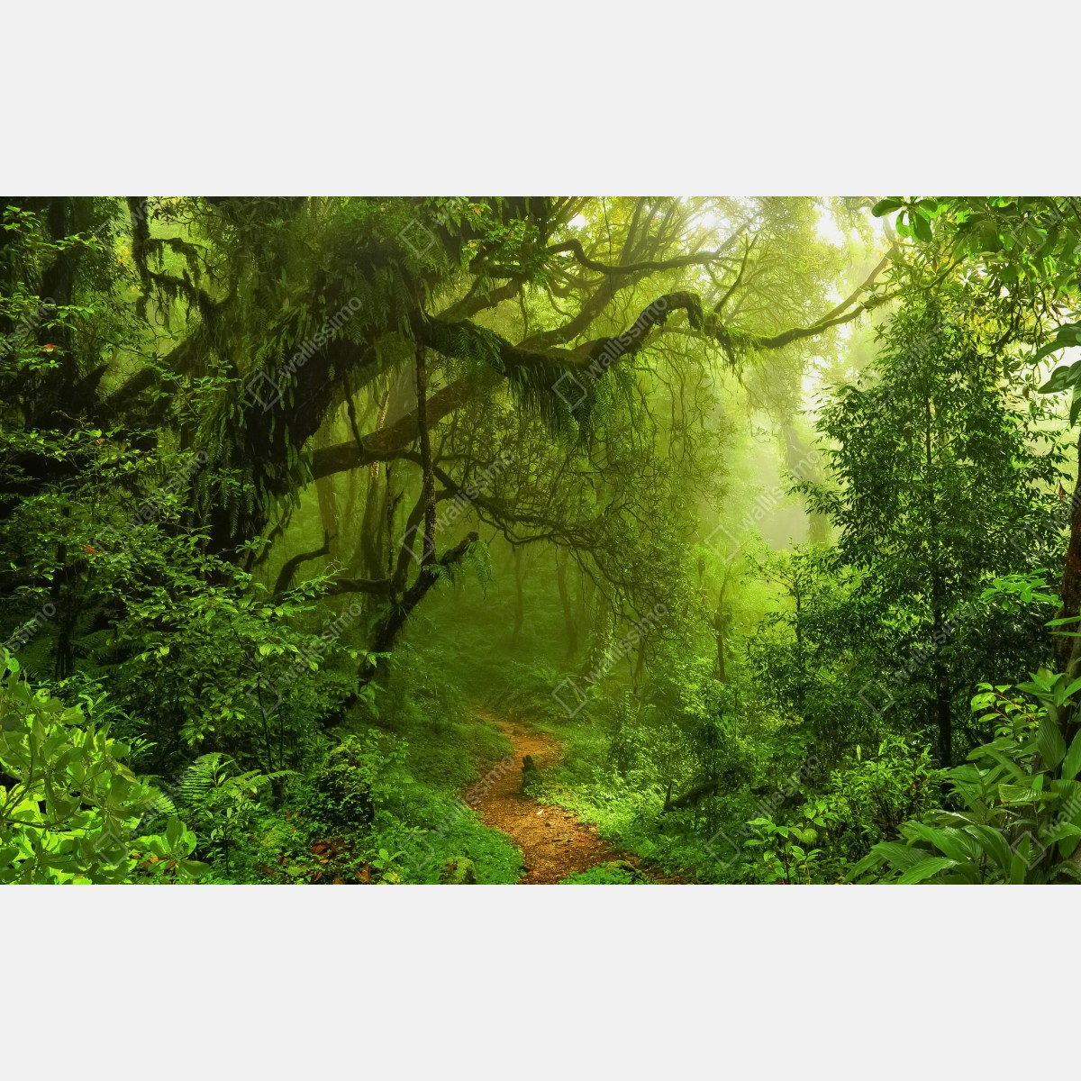 Naklejka na biurko i stół bujna zielona leśna ścieżka – Wallissimo® Naklejka na biurko i stół bujna zielona leśna ścieżka – Wallissimo®