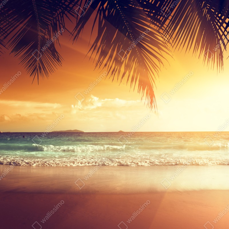 Naklejka na biurko i stół plaża o zachodzie słońca na Karaibach – Wallissimo® Naklejka na biurko i stół plaża o zachodzie słońca na Karaibach – Wallissimo®