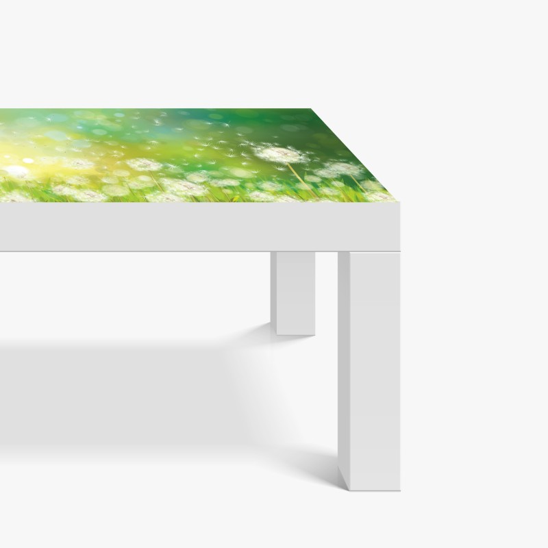 Naklejka na biurko i stół wiosenna łąka dmuchawców – Wallissimo® Naklejka na biurko i stół wiosenna łąka dmuchawców – Wallissimo®