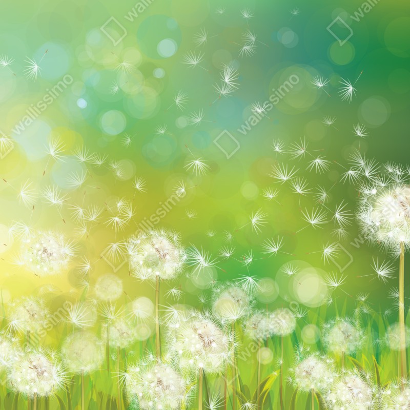 Naklejka na biurko i stół wiosenna łąka dmuchawców – Wallissimo® Naklejka na biurko i stół wiosenna łąka dmuchawców – Wallissimo®