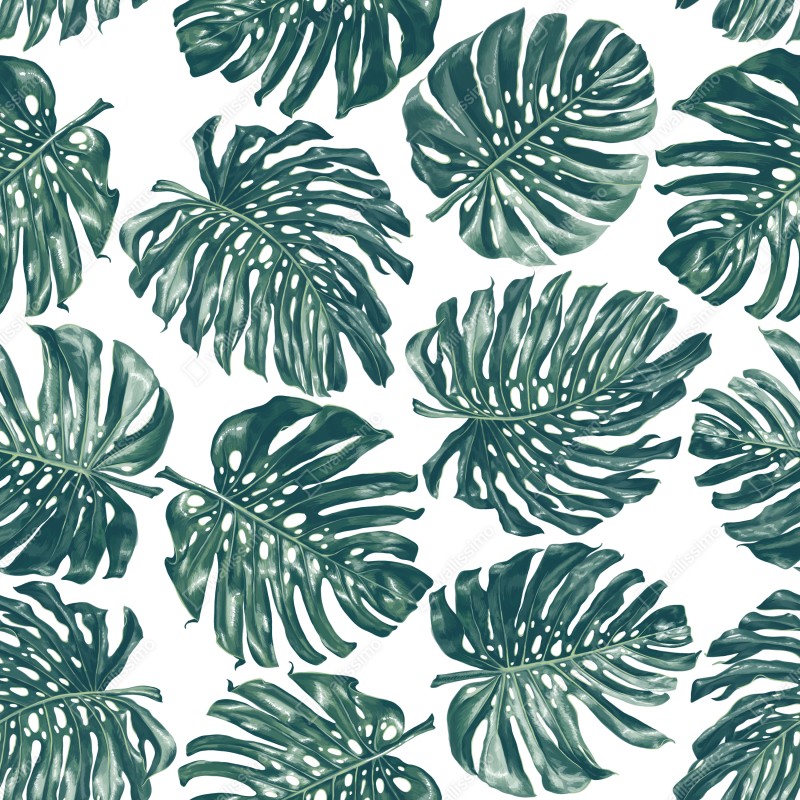 Naklejka na biurko i stół wzór botaniczny liści monstery – Wallissimo® Naklejka na biurko i stół wzór botaniczny liści monstery – Wallissimo®