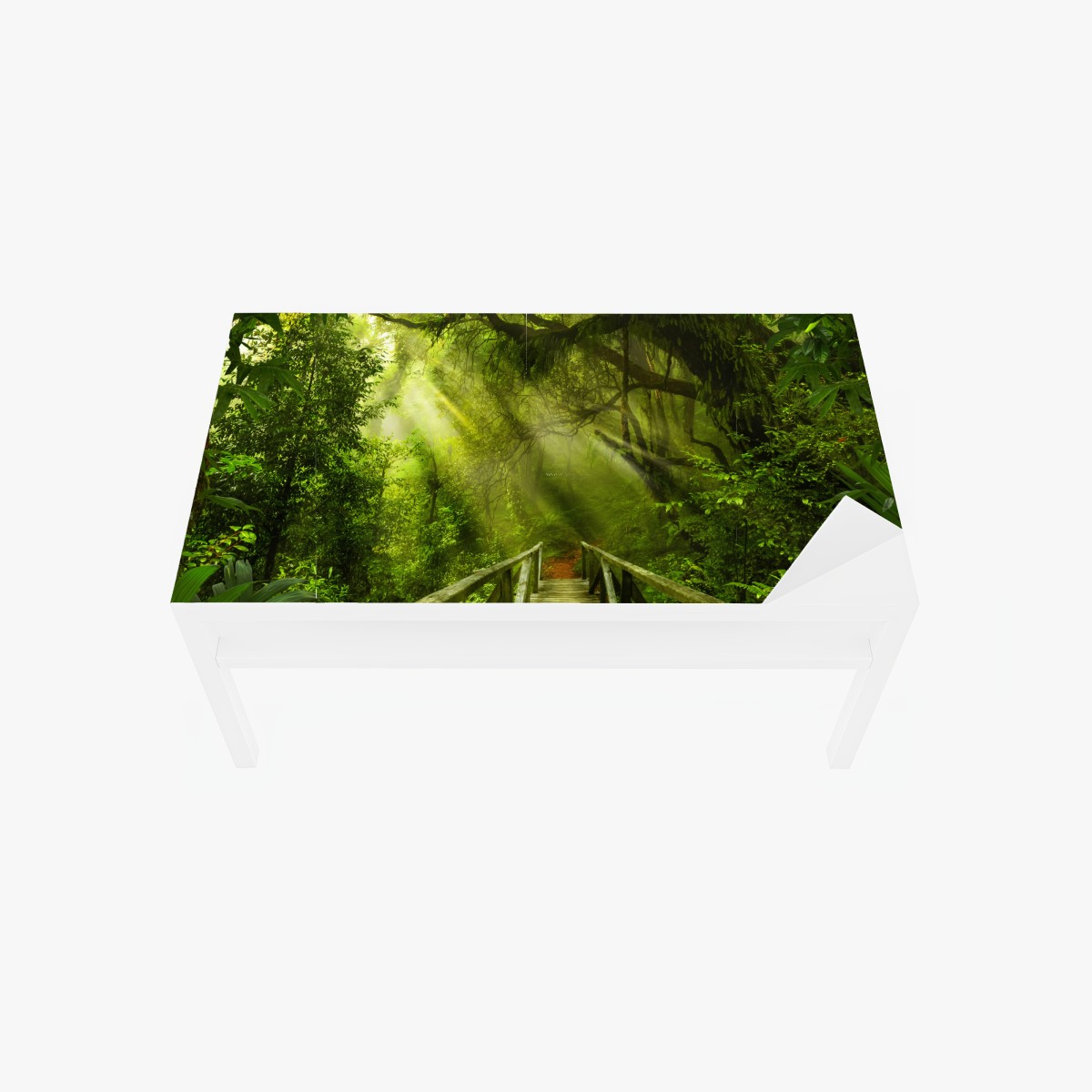 Table & desk veneer sunlit forest pathway