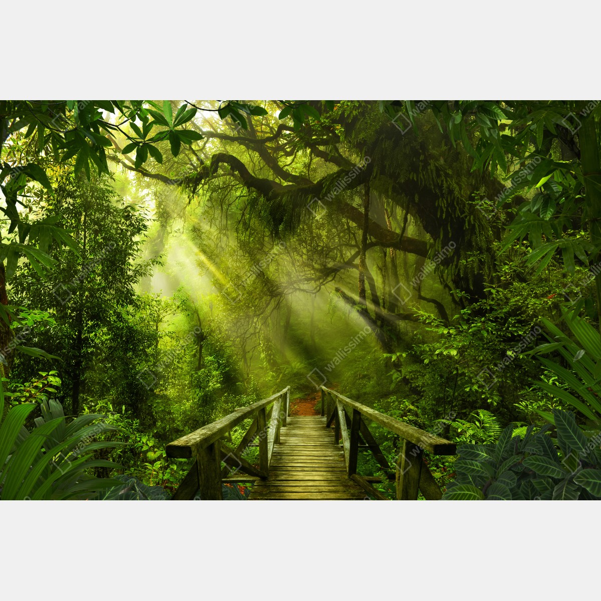 Naklejka na biurko i stół słoneczna leśna ścieżka – Wallissimo® Naklejka na biurko i stół słoneczna leśna ścieżka – Wallissimo®