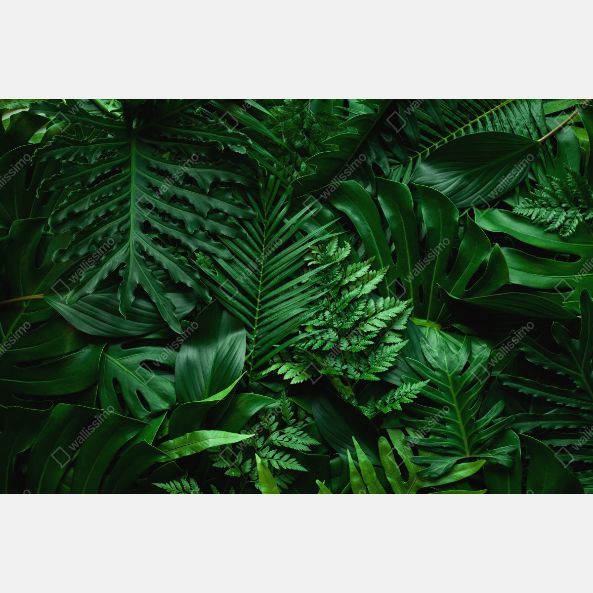 Naklejka na biurko i stół bujne tropikalne liście – Wallissimo® Naklejka na biurko i stół bujne tropikalne liście – Wallissimo®