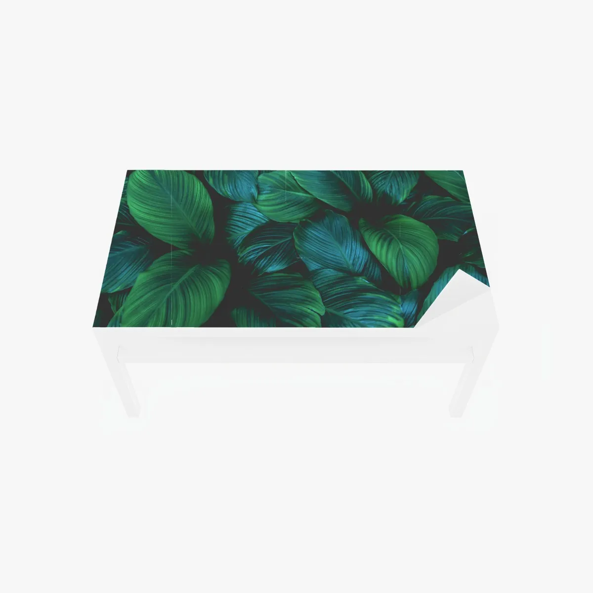 Naklejka na biurko i stół bujne tropikalne liście – Wallissimo® Naklejka na biurko i stół bujne tropikalne liście – Wallissimo®