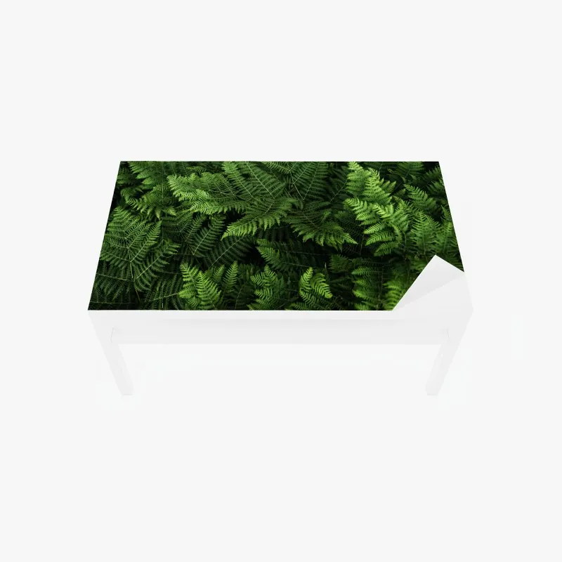 Naklejka na biurko i stół bujna zielona paproć