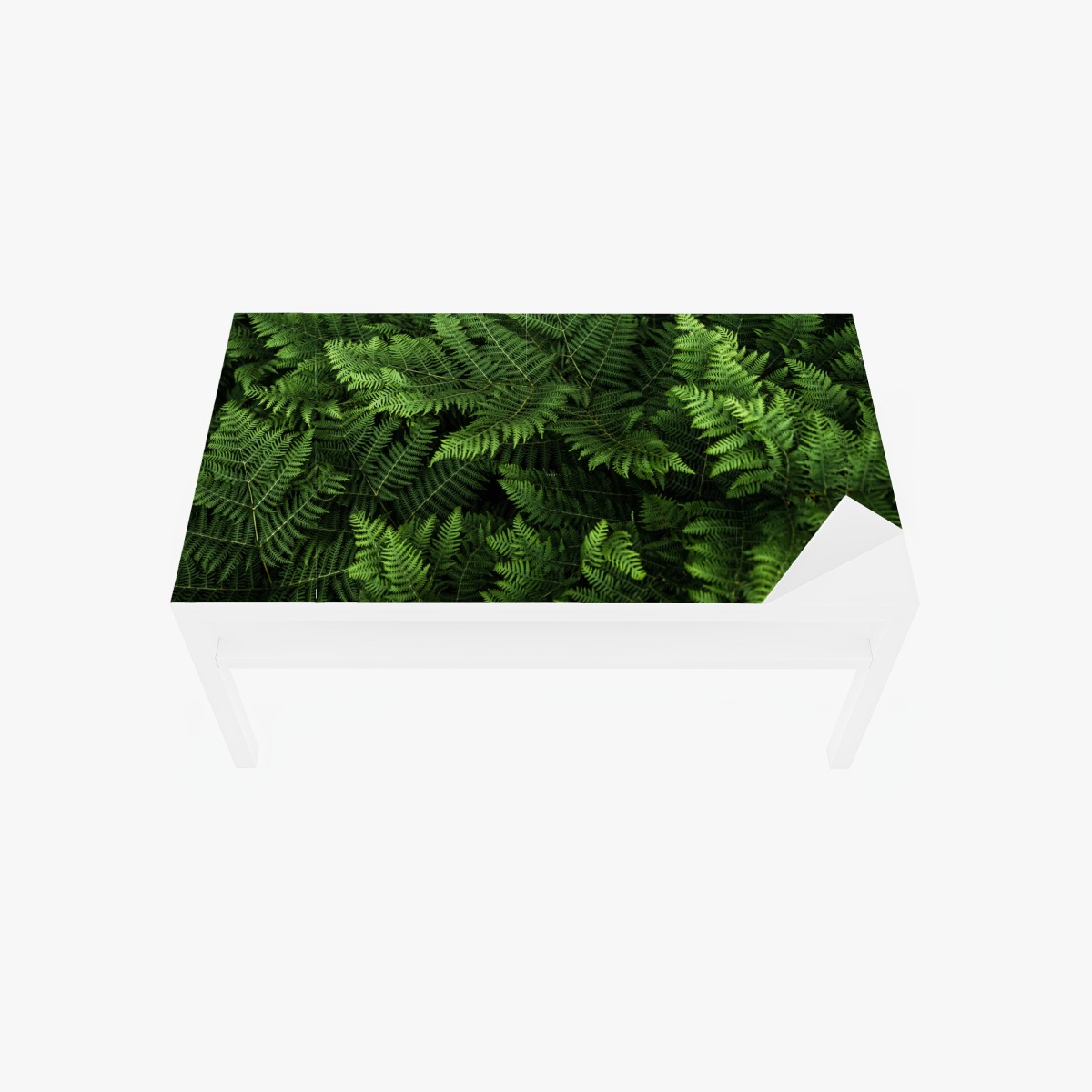Table & desk veneer lush green fern foliage