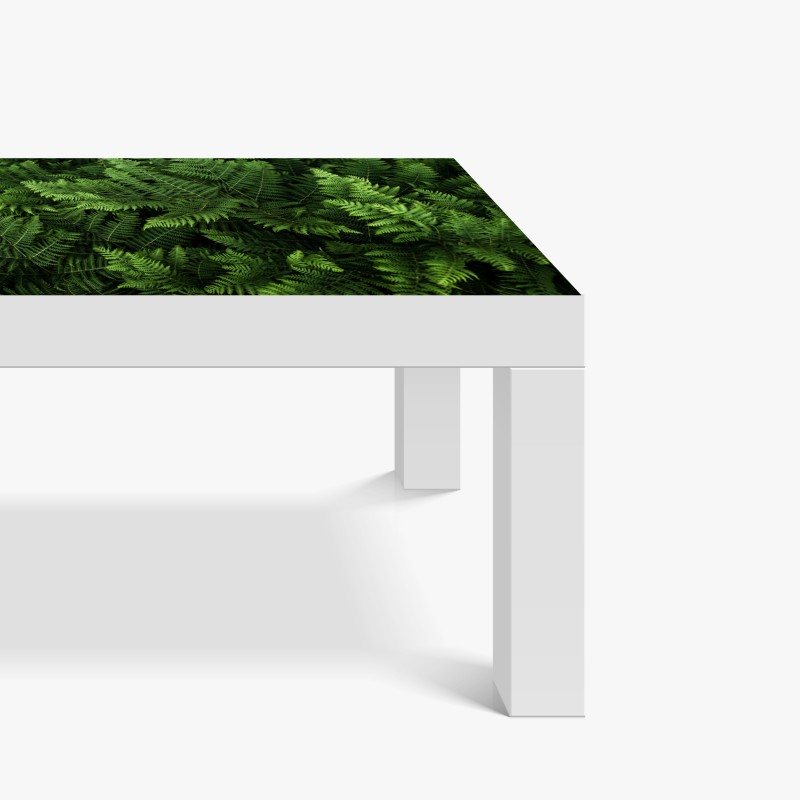 Naklejka na biurko i stół bujna zielona paproć