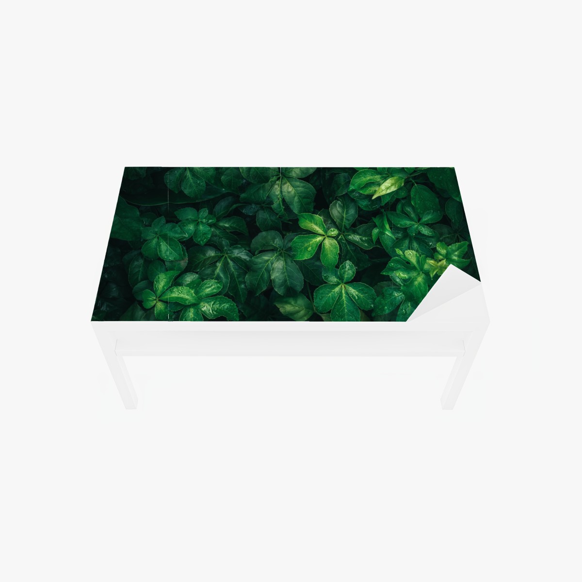 Table & desk veneer lush tropical green foliage