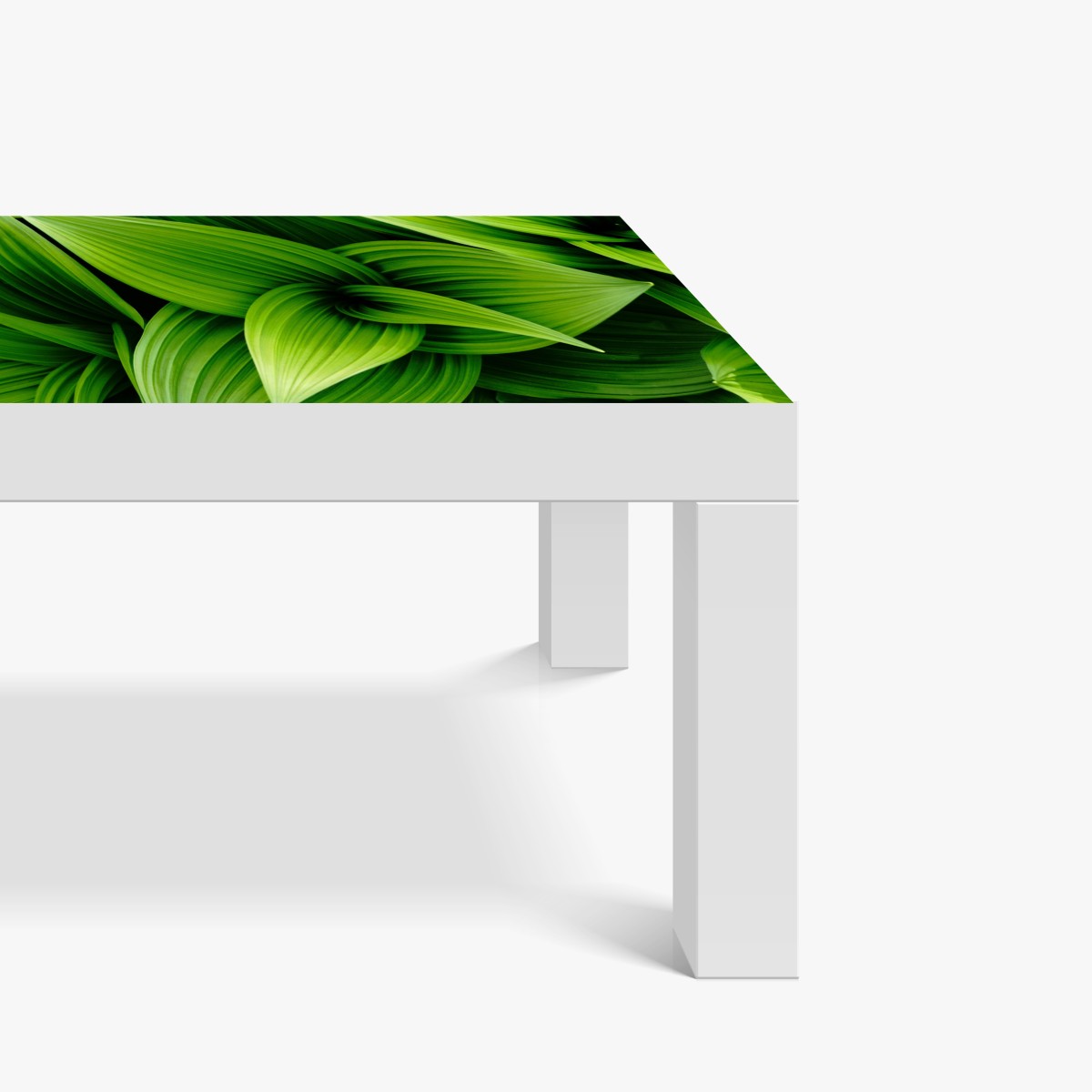 Naklejka na biurko i stół gęste zielone liście – Wallissimo® Naklejka na biurko i stół gęste zielone liście – Wallissimo®