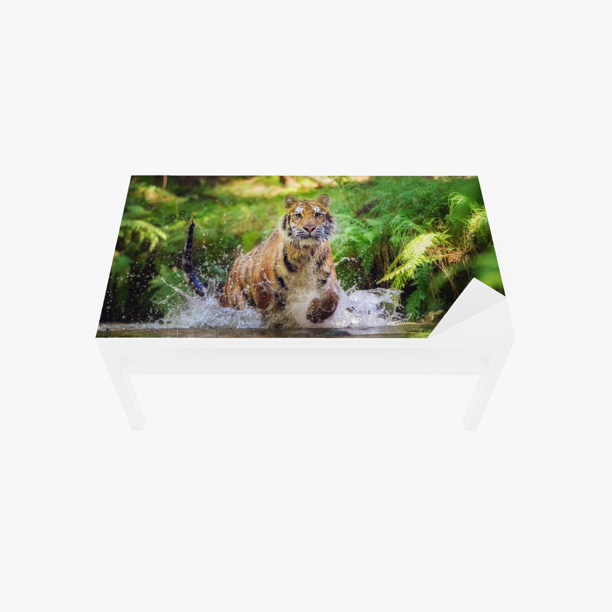 Table & desk veneer majestic tiger in forest stream