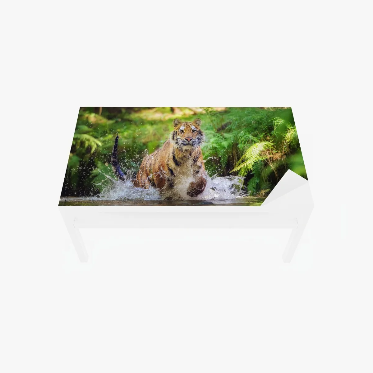 Naklejka na biurko i stół majestatyczny tygrys w leśnym strumieniu – Wallissimo® Naklejka na biurko i stół majestatyczny tygrys w leśnym strumieniu – Wallissimo®
