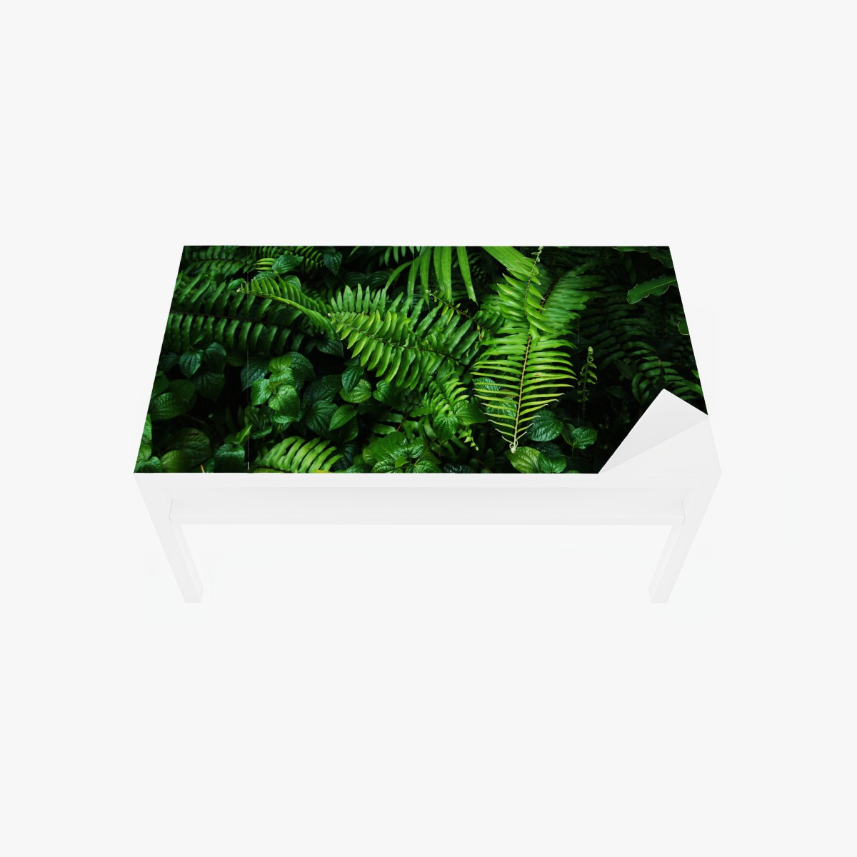 Table & desk veneer lush tropical fern leaves
