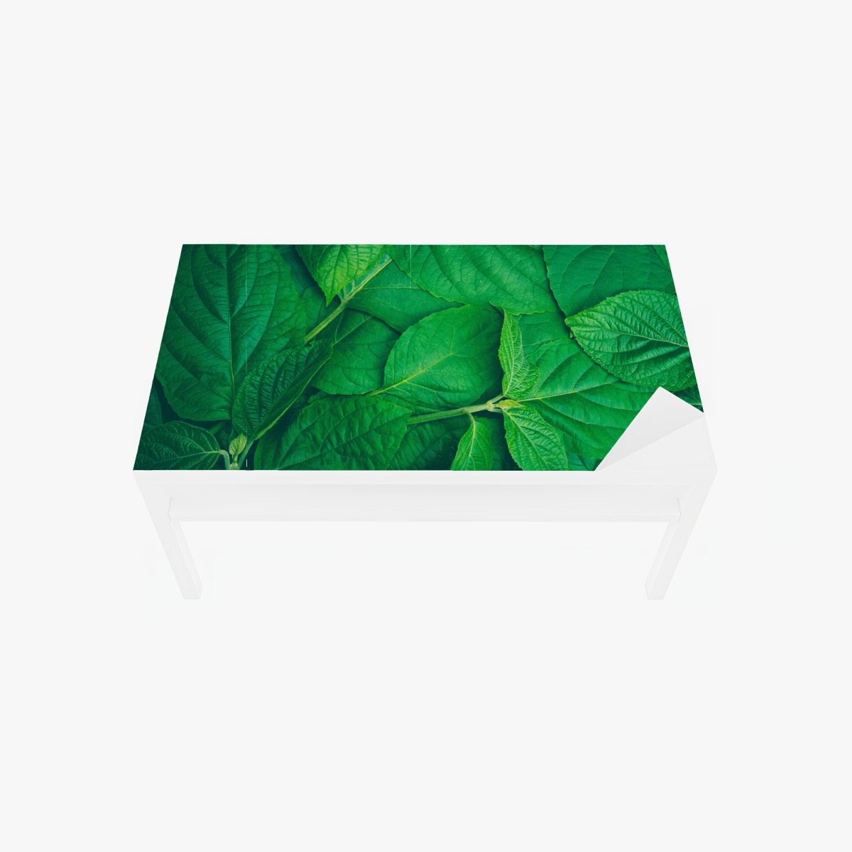 Table & desk veneer lush green leaves texture