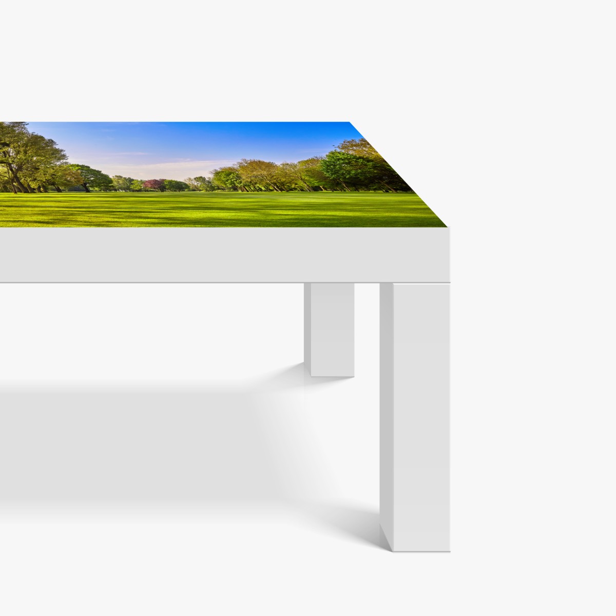 Naklejka na biurko i stół słoneczna panorama parku miejskiego – Wallissimo® Naklejka na biurko i stół słoneczna panorama parku miejskiego – Wallissimo®