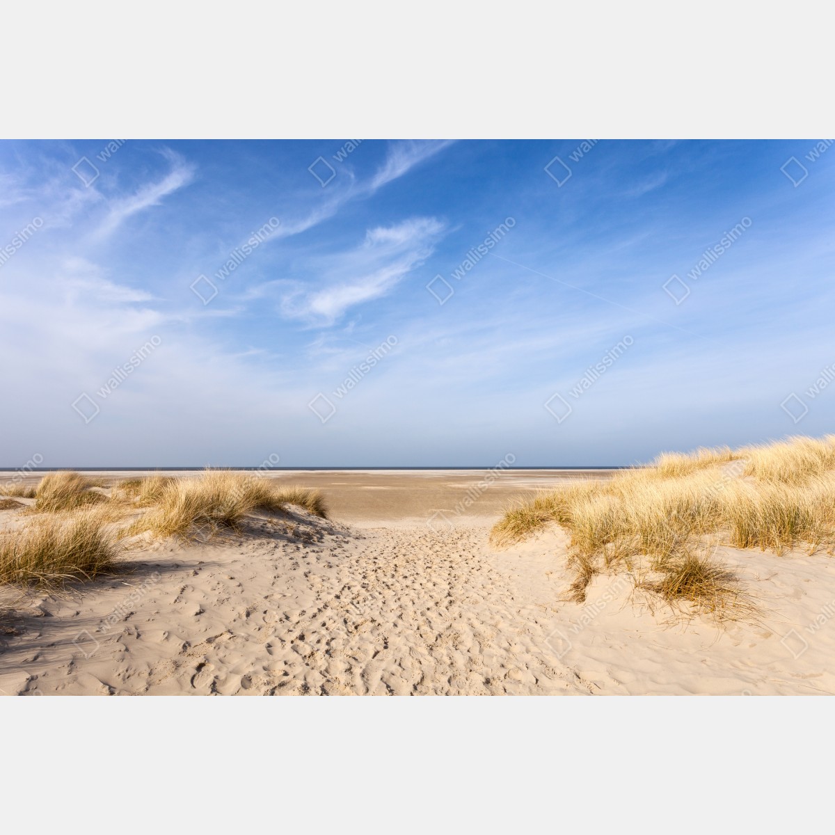 Naklejka na biurko i stół spokojne wydmy na wybrzeżu Niemiec – Wallissimo® Naklejka na biurko i stół spokojne wydmy na wybrzeżu Niemiec – Wallissimo®