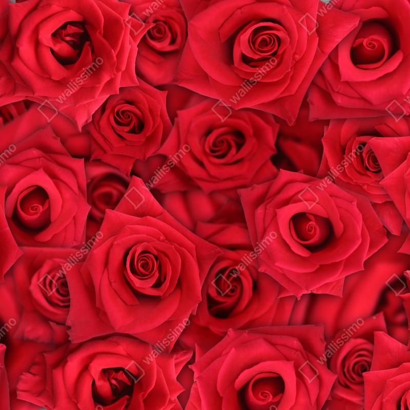 Naklejka na biurko i stół żywe czerwone róże kolaż – Wallissimo® Naklejka na biurko i stół żywe czerwone róże kolaż – Wallissimo®
