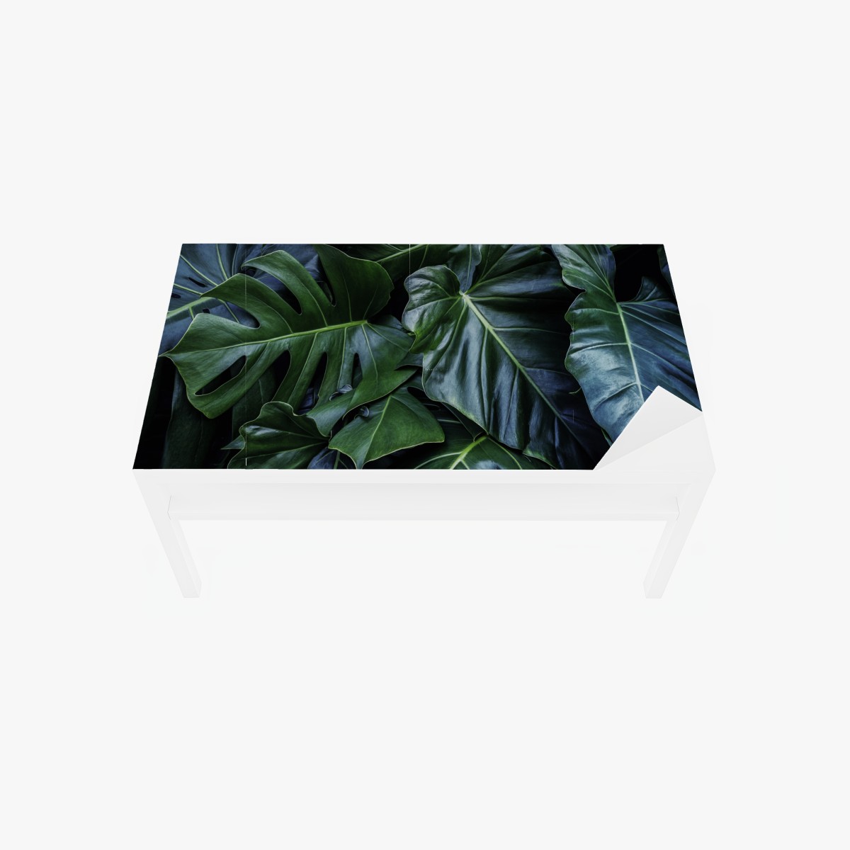 Table & desk veneer lush tropical monstera foliage