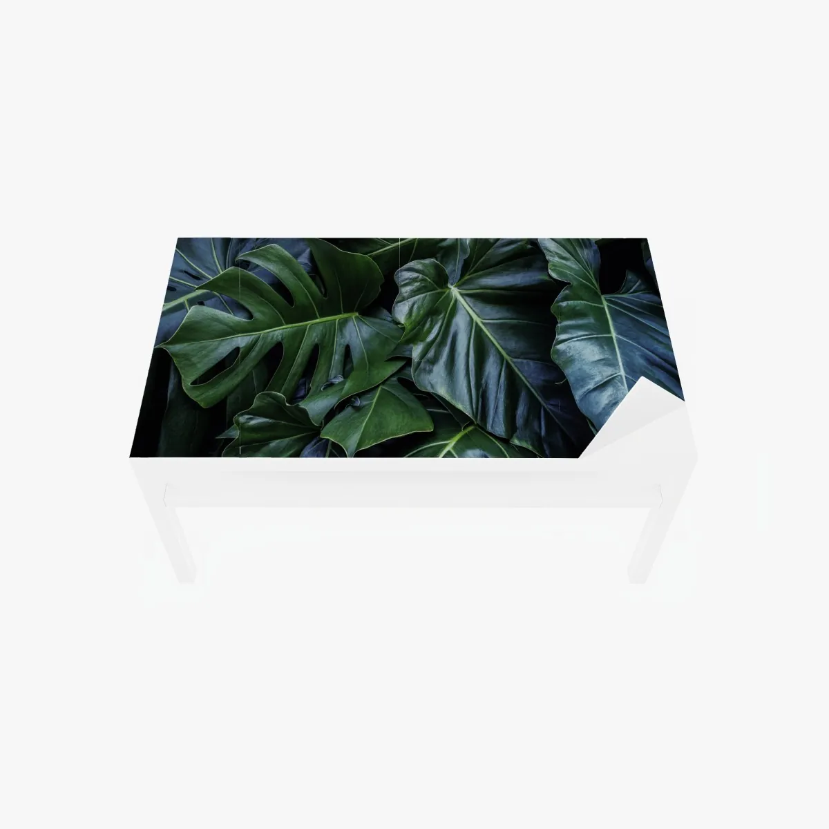 Naklejka na biurko i stół bujna tropikalna monstera – Wallissimo® Naklejka na biurko i stół bujna tropikalna monstera – Wallissimo®