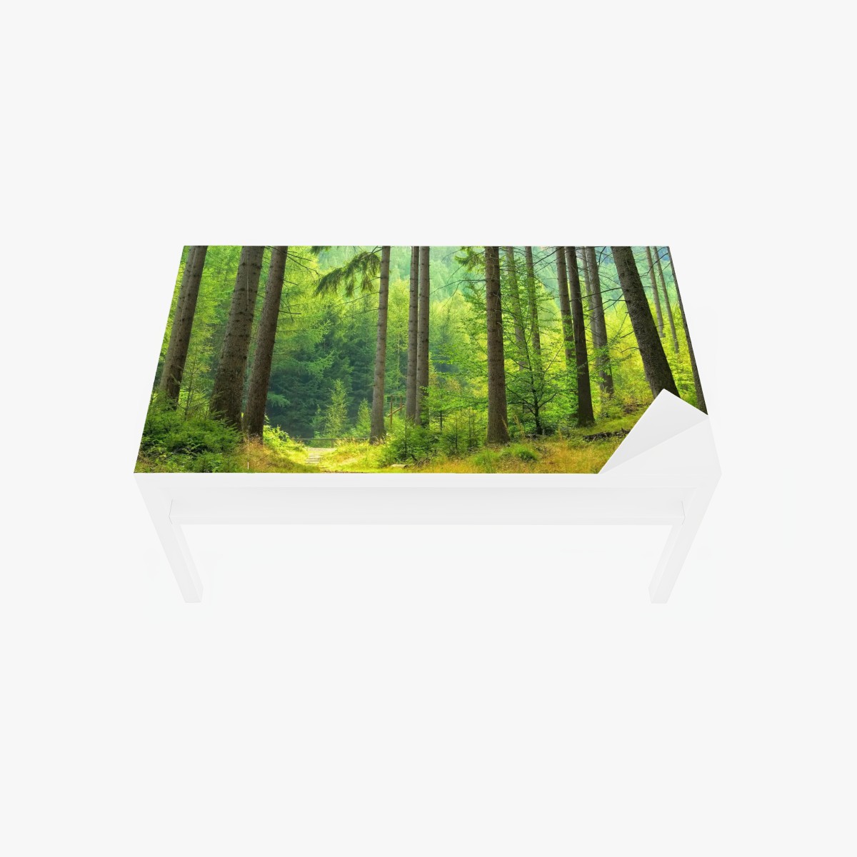 Table & desk veneer sunlit forest trail
