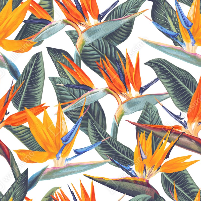 Naklejka na laptopa tropikalny wzór strelicji – Wallissimo® Naklejka na laptopa tropikalny wzór strelicji – Wallissimo®