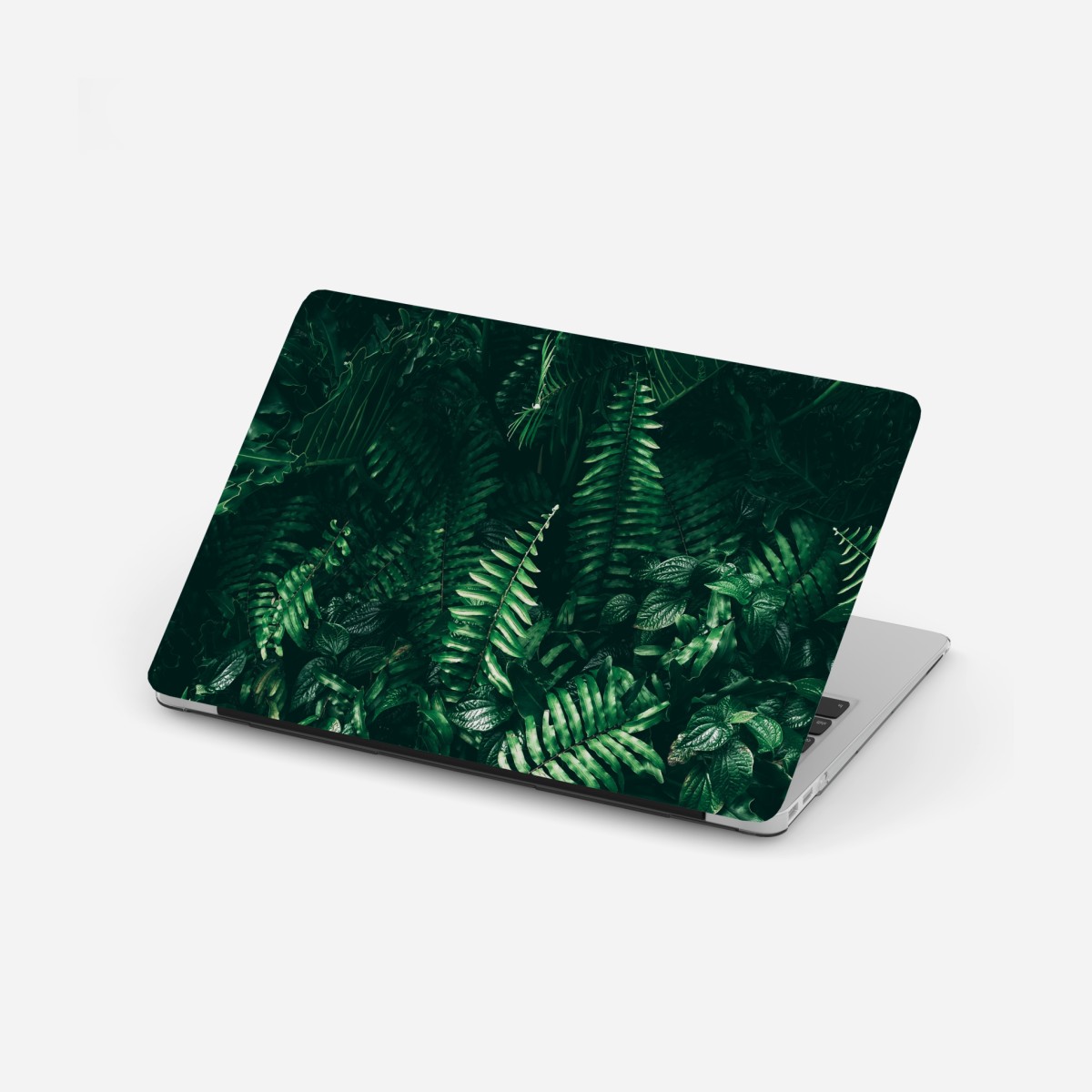 Laptop sticker tropical green leaves composition