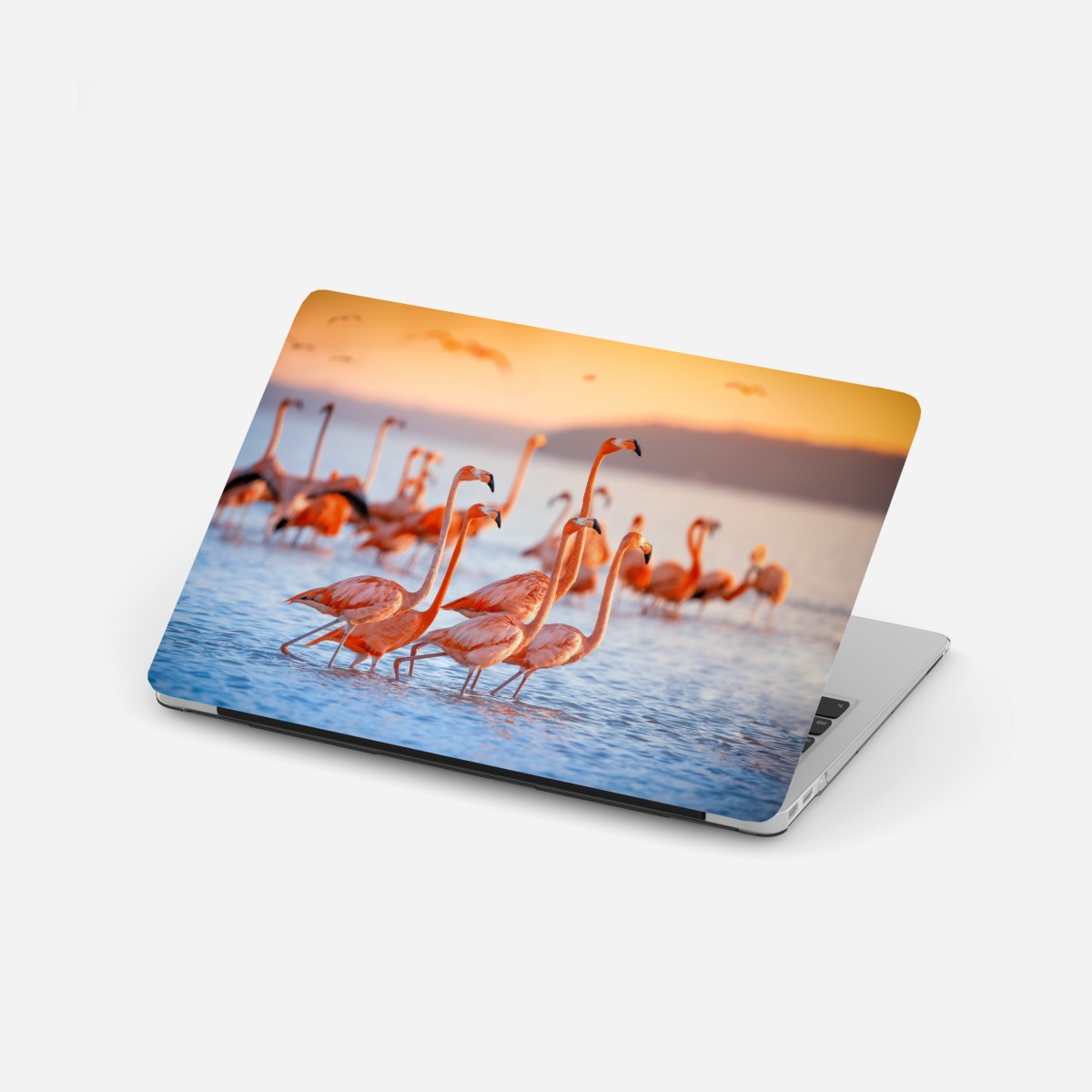 Laptop sticker pink flamingos at sunset