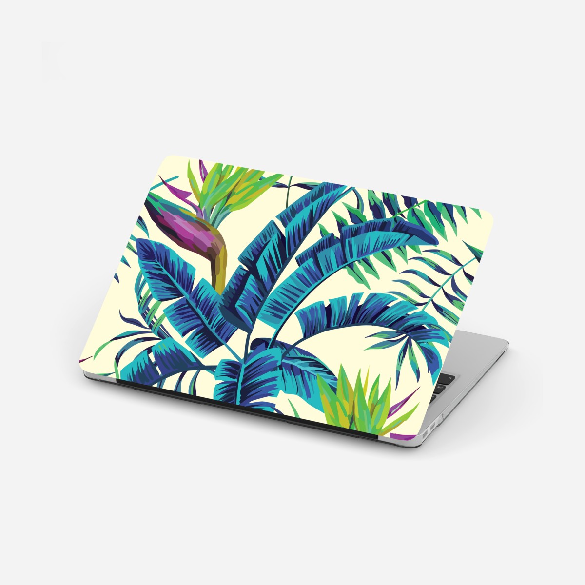 Laptop sticker tropical turquoise leaf design