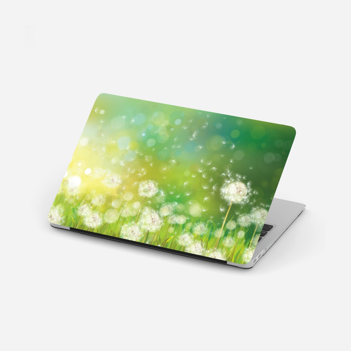 Laptop sticker spring dandelion meadow