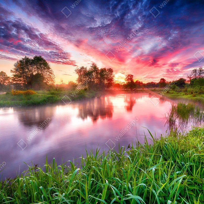 Naklejka na laptopa spokojny letni wschód słońca nad brzegiem rzeki – Wallissimo® Naklejka na laptopa spokojny letni wschód słońca nad brzegiem rzeki – Wallissimo®