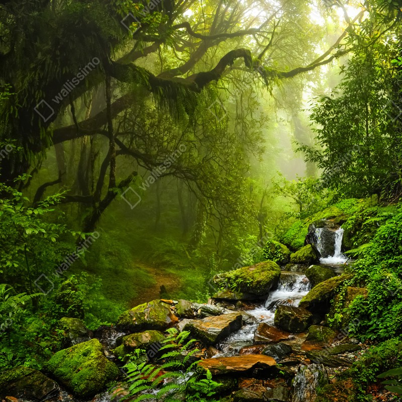 Naklejka na laptopa bujny mglisty leśny wodospad – Wallissimo® Naklejka na laptopa bujny mglisty leśny wodospad – Wallissimo®