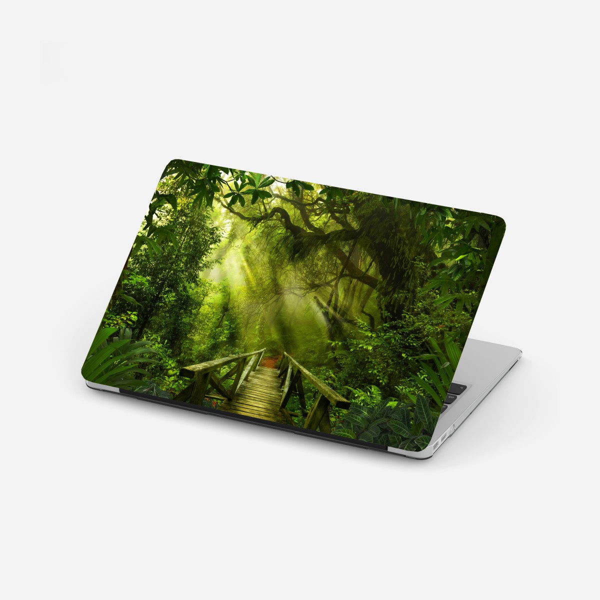 Laptop sticker sunlit forest pathway