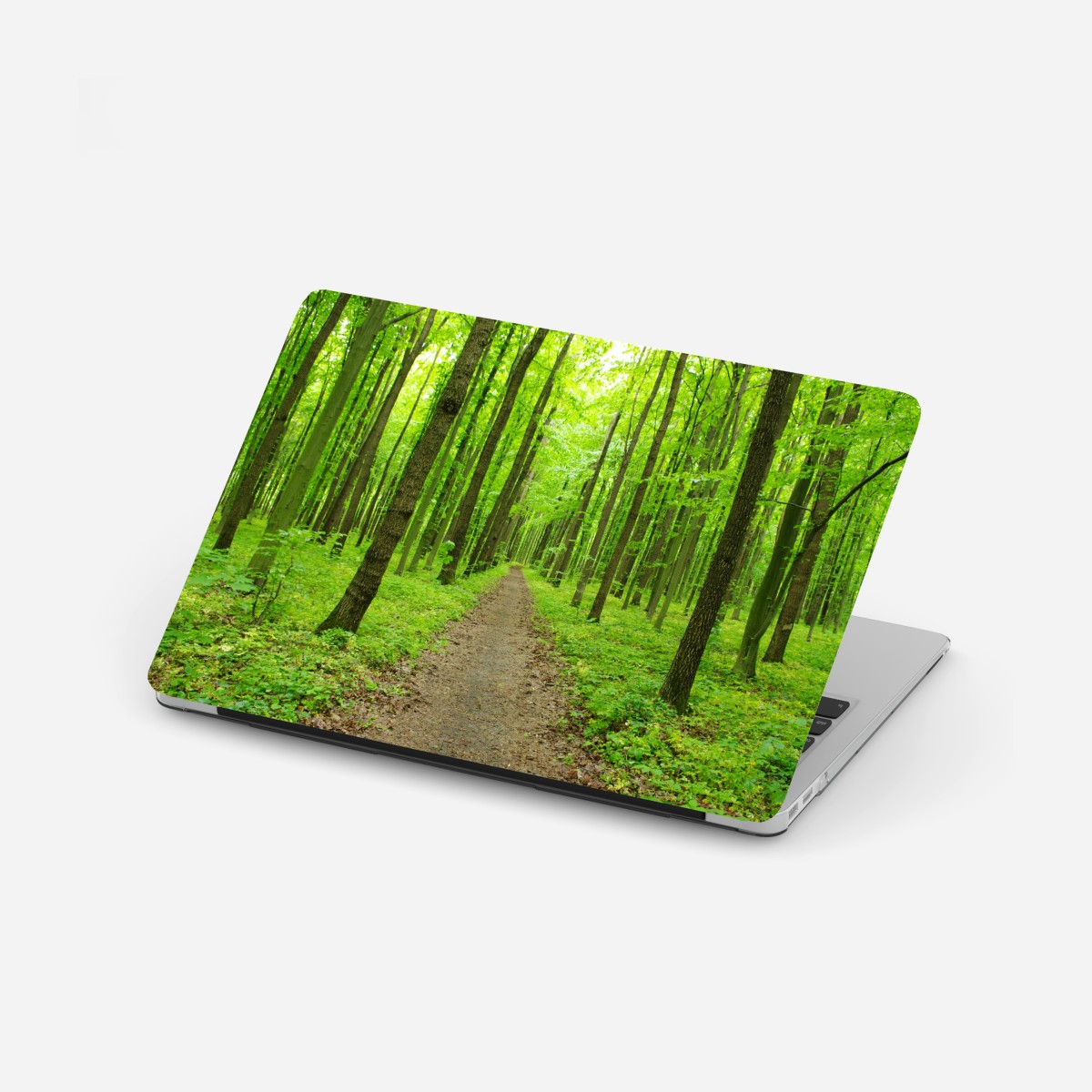 Laptop sticker serene green forest path