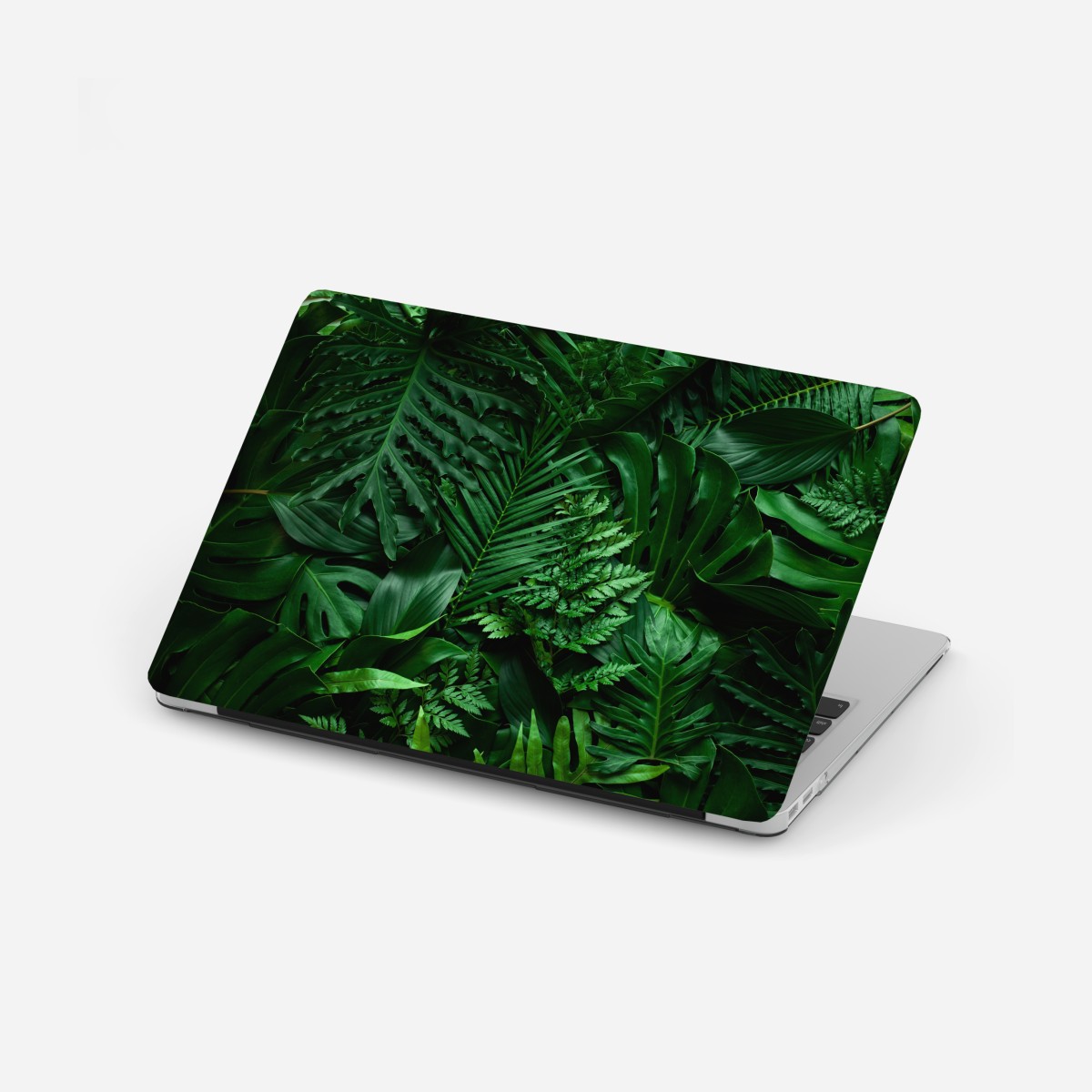 Laptop sticker lush tropical jungle leaves