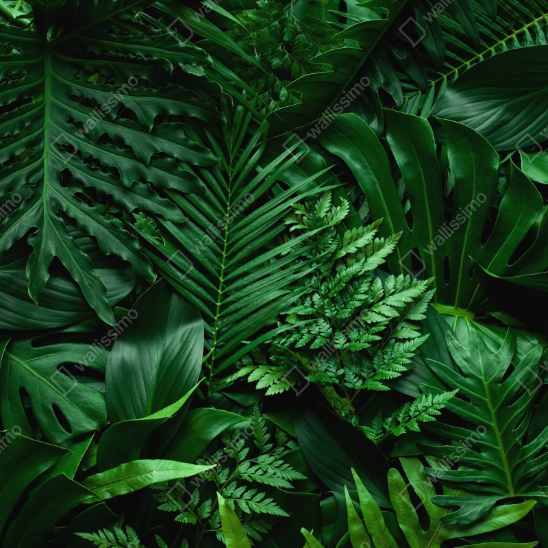 Naklejka na laptopa bujne tropikalne liście – Wallissimo® Naklejka na laptopa bujne tropikalne liście – Wallissimo®