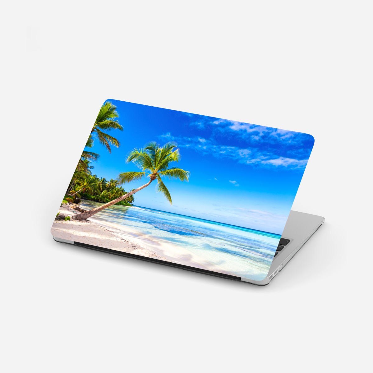 Laptop sticker tropical palm beach panorama