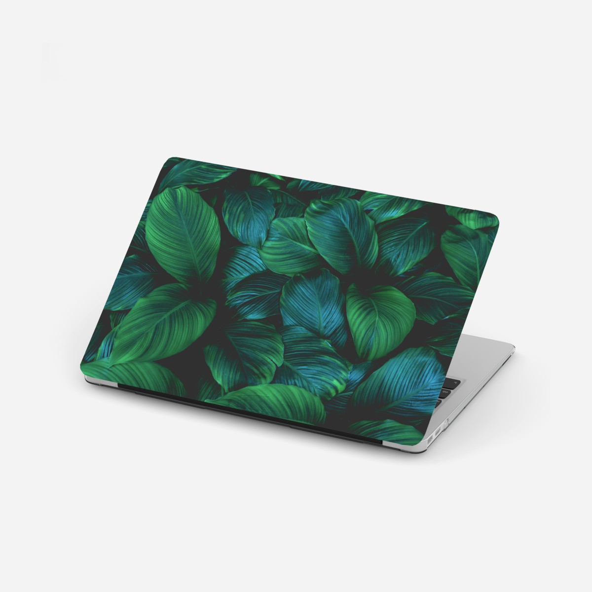 Laptop sticker lush tropical leaves art