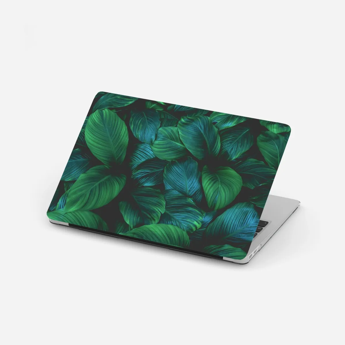 Naklejka na laptopa bujne tropikalne liście – Wallissimo® Naklejka na laptopa bujne tropikalne liście – Wallissimo®