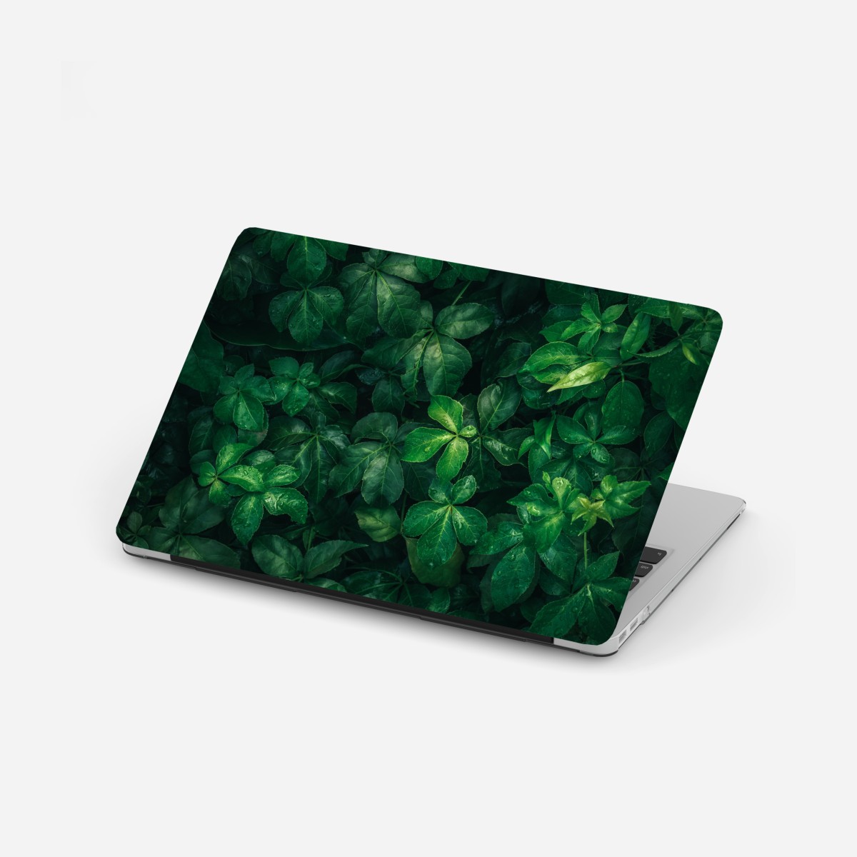 Laptop sticker lush tropical green foliage