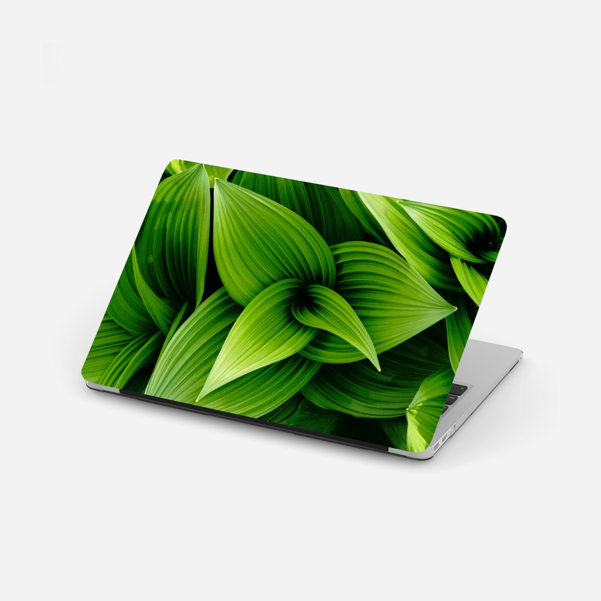 Laptop sticker lush green leaves pattern