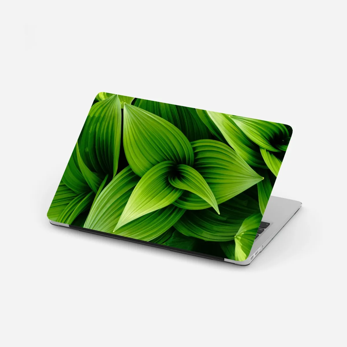 Naklejka na laptopa gęste zielone liście – Wallissimo® Naklejka na laptopa gęste zielone liście – Wallissimo®