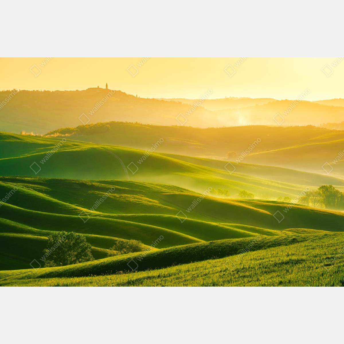 Naklejka na laptopa złoty wschód słońca nad zielonymi falującymi wzgórzami – Wallissimo® Naklejka na laptopa złoty wschód słońca nad zielonymi falującymi wzgórzami – Wallissimo®