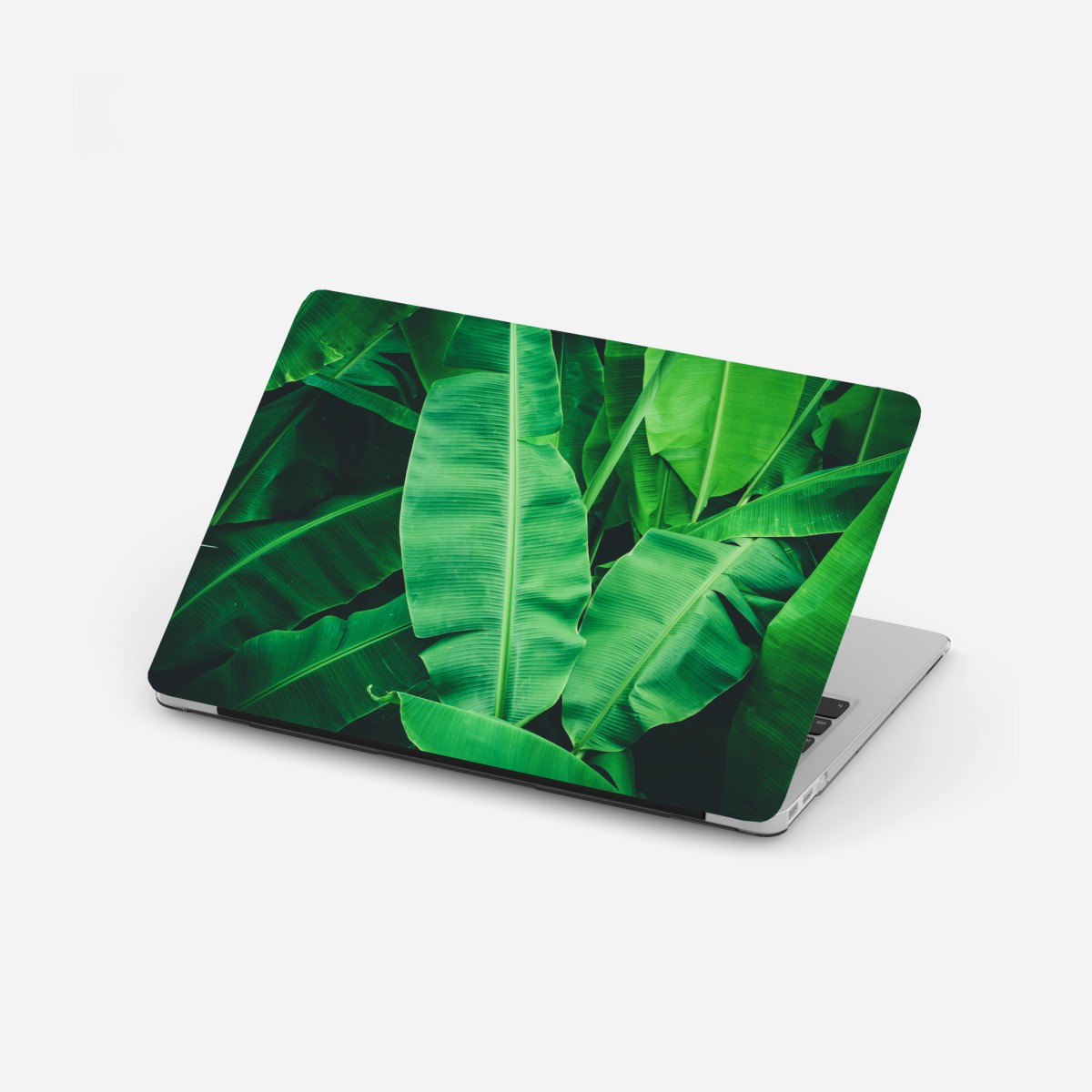 Laptop sticker lush tropical banana leaves
