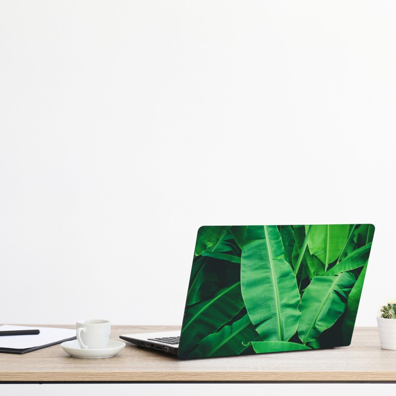 Naklejka na laptopa słoneczna leśna ścieżka – Wallissimo®