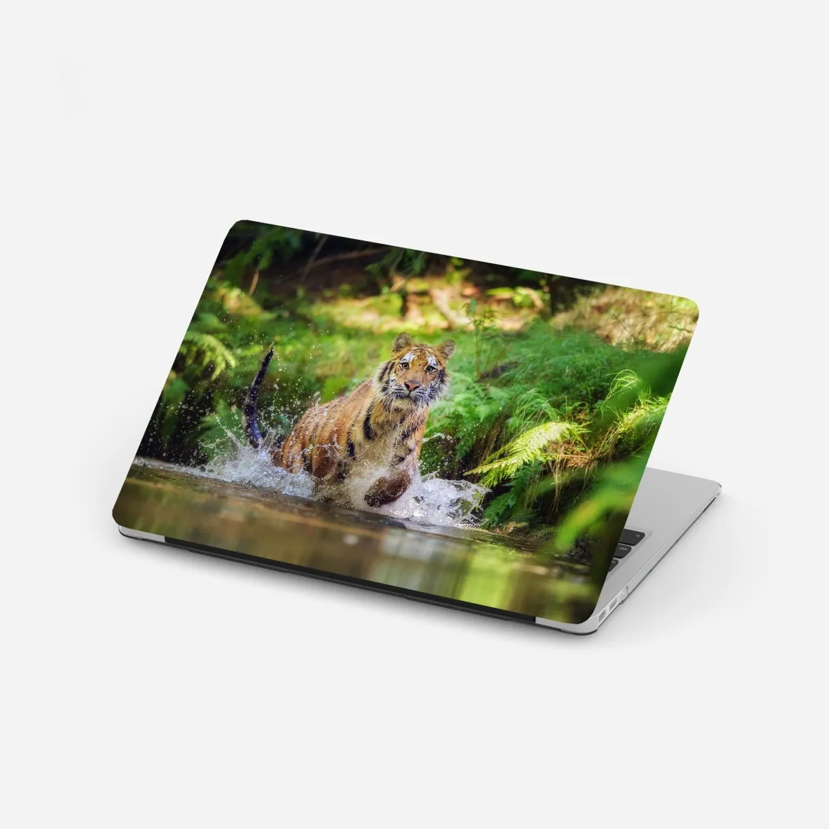 Naklejka na laptopa majestatyczny tygrys w leśnym strumieniu – Wallissimo® Naklejka na laptopa majestatyczny tygrys w leśnym strumieniu – Wallissimo®