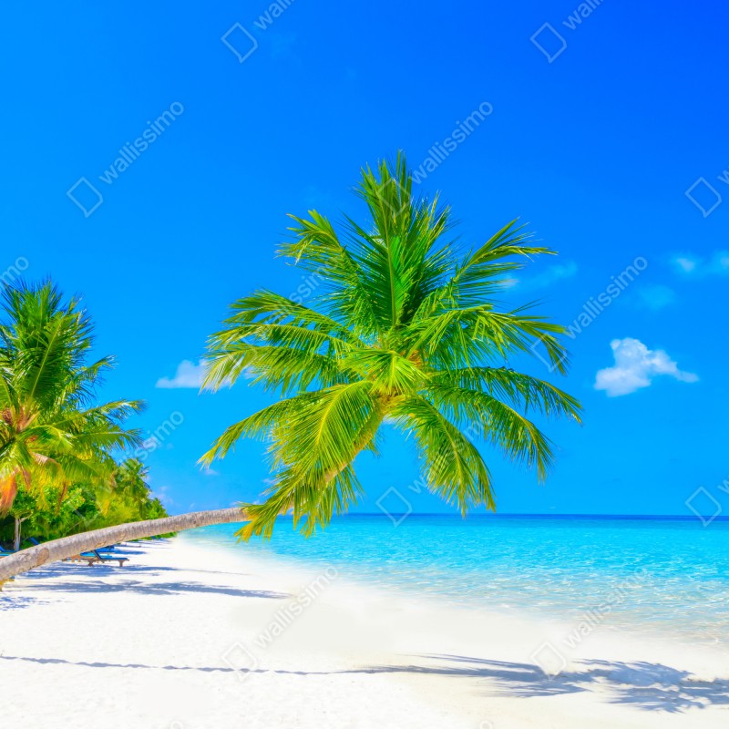 Naklejka na laptopa rajska plaża na Malediwach – Wallissimo® Naklejka na laptopa rajska plaża na Malediwach – Wallissimo®