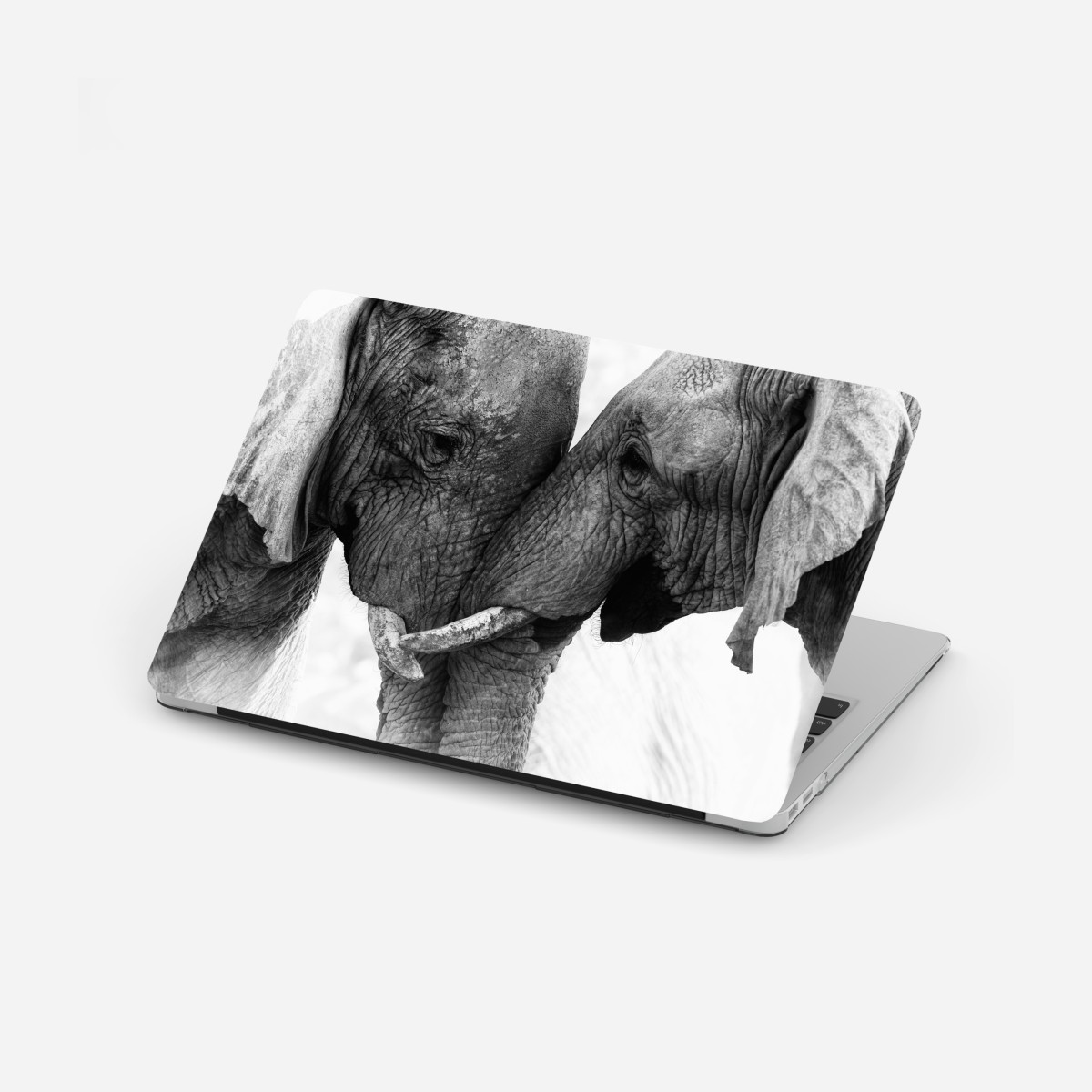 Laptop sticker elephant embrace black and white portrait