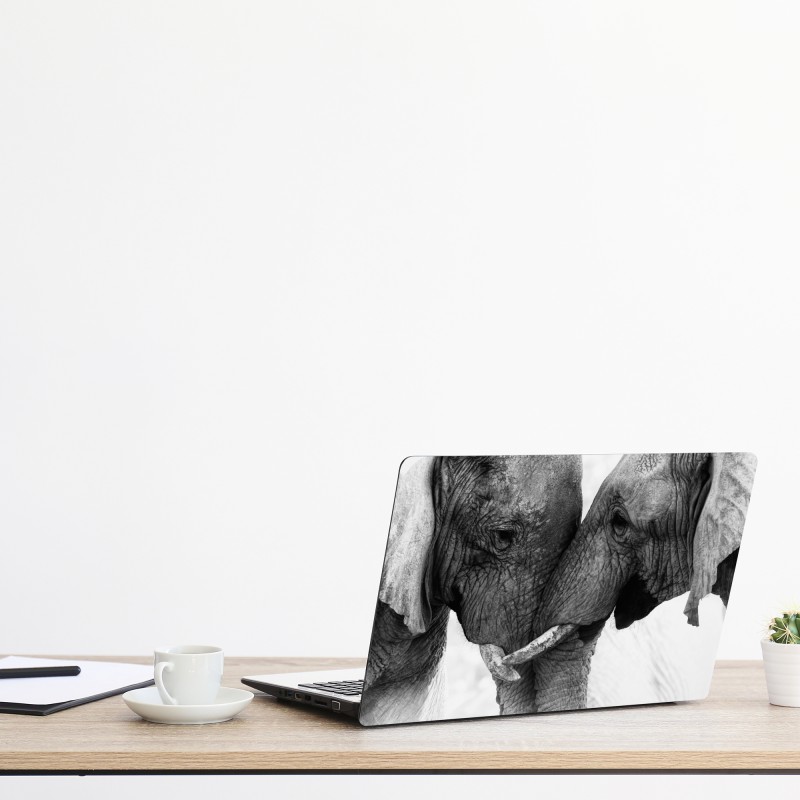 Naklejka na laptopa słoneczna leśna ścieżka – Wallissimo®