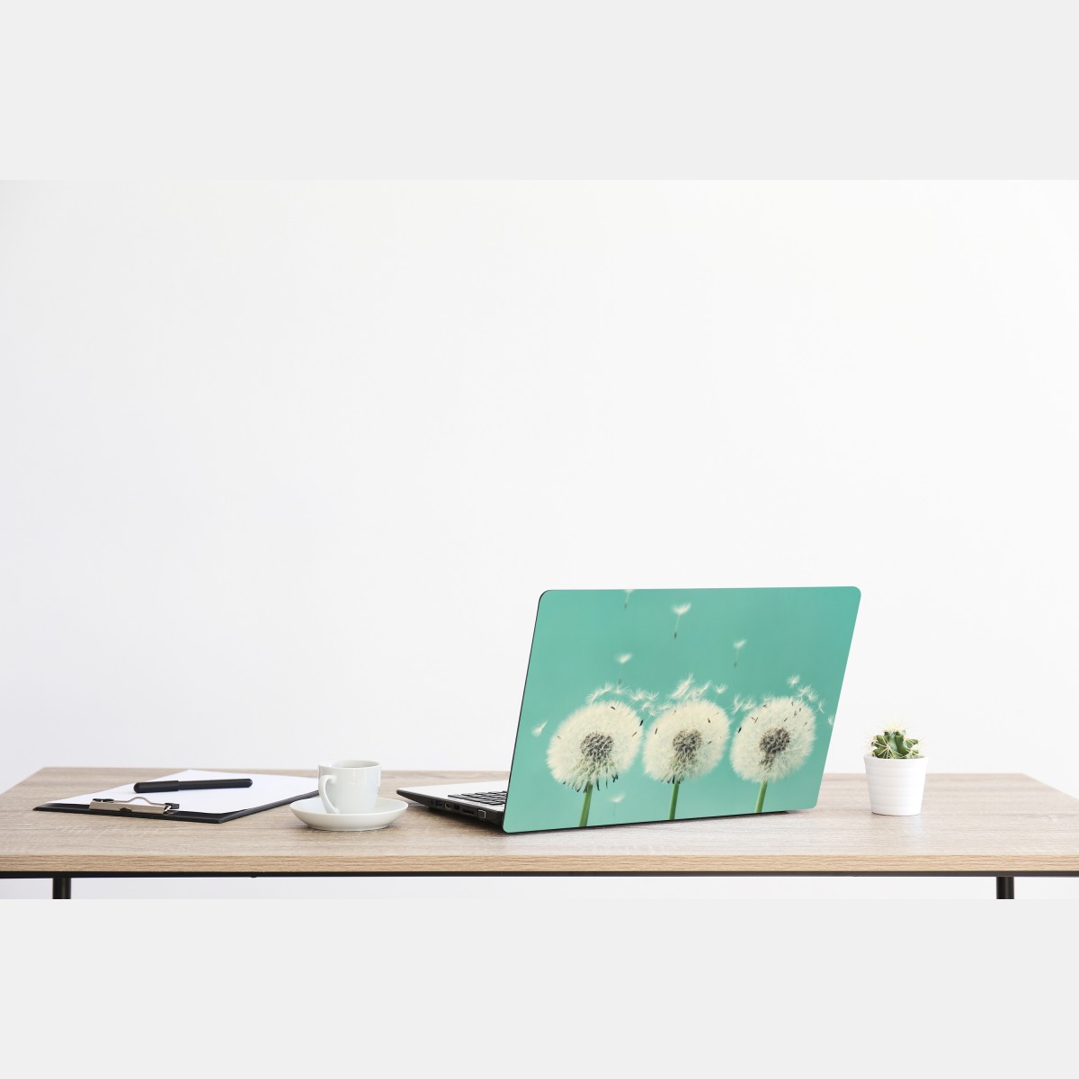 Naklejka na laptopa trzy dmuchawce na turkusowym tle – Wallissimo® Naklejka na laptopa trzy dmuchawce na turkusowym tle – Wallissimo®